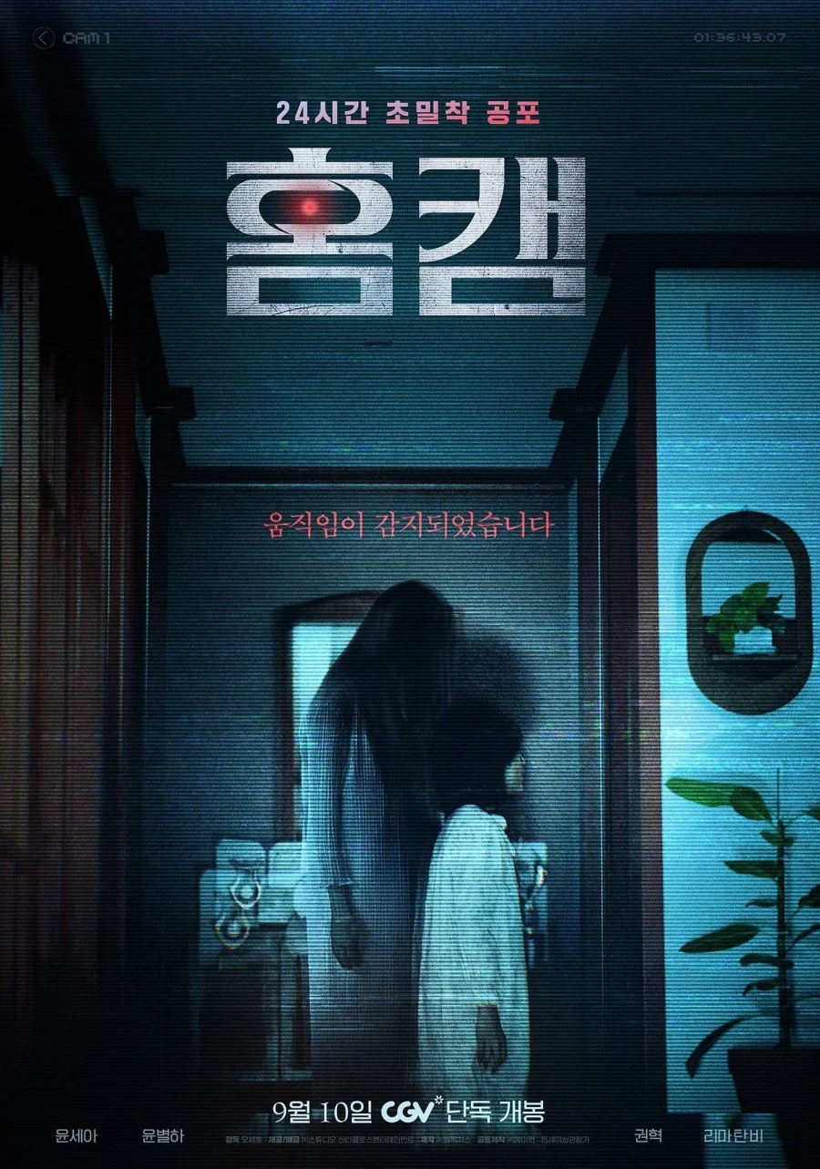 Домашняя камера - главный постер